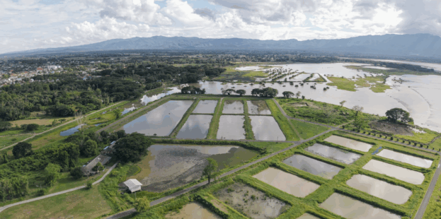 AMC Sky Imaging & Videography